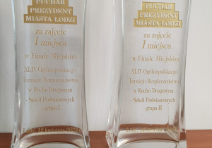 Puchary Prezydent Miasta Łodzi dla zwycięskich grup reprezentujących SP nr 169 w Łodzi.
