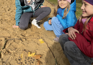 zajęcia na świeżym powietrzu 2