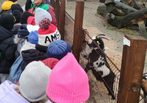 Wioska św. Mikołaja 2b, 2e 1