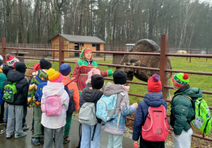 Wioska św. Mikołaja 2b, 2e 6