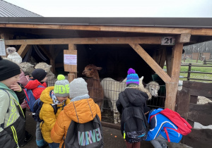 Wioska św. Mikołaja 2b, 2e 10